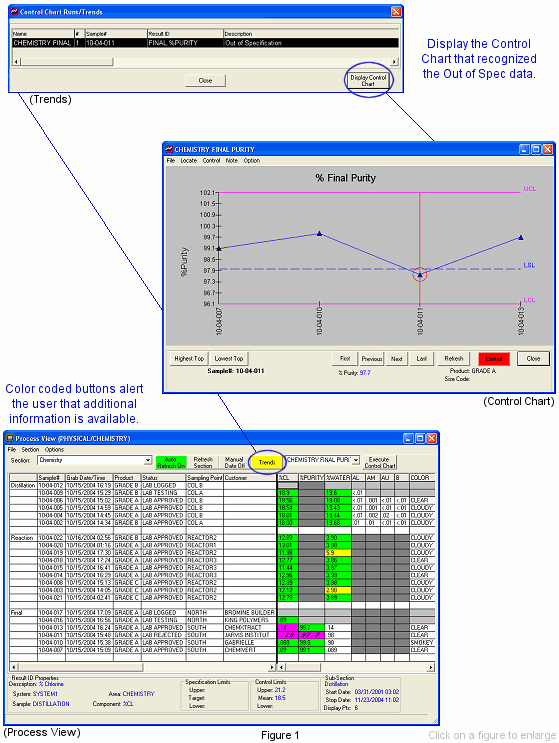 LabSoft LIMS Process View options - Real-time Data