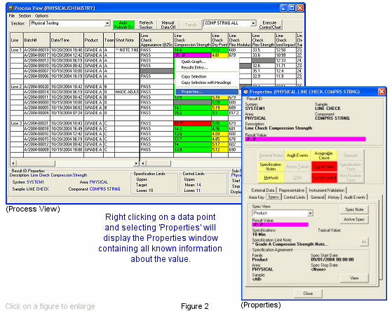 LabSoft LIMS Process View options - Real-time Data